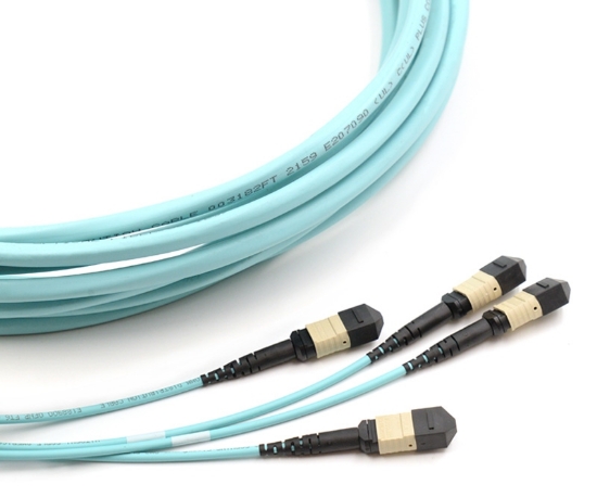 24 Fiber MPO, Multimode, OM3 Trunk Cable