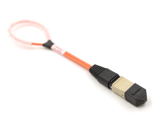 12 Fiber MPO Standard Loopback OM1