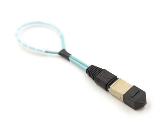 12 Fiber MPO Standard Loopback OM3
