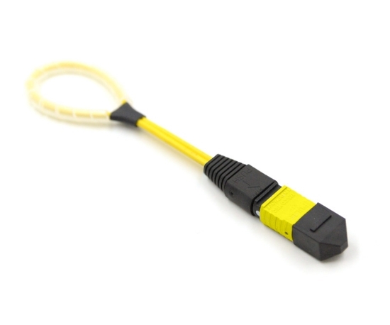 12 Fiber MPO Low Loss Loopback OS2