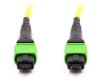 12 Fiber MPO/APC Standard Male to Female Cable