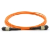 24 Fiber MTP Cable, Multimode OM1, Pin 1-13