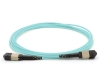 24 Fiber MTP Cable, Standard Male, Multimode OM4