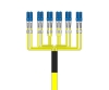 Picture of 12 Fiber Custom Cable Assembly - 9/125µm Singlemode OS2 - Distribution Plenum Rated