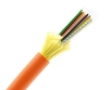 24 Fiber Distribution Tight Buffered Cable - Multimode OM1 - Riser Rated
