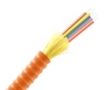 12 Fiber Armored Distribution Tight Buffered Cable - Multimode OM1 - Riser Rated