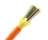 48 Fiber Distribution Tight Buffered Cable - Multimode OM1 - Plenum Rated