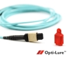 MPO Opti-Lure Dust-cap