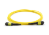 16 Fiber MPO/APC Low Loss Female to Female Custom Cable Assembly