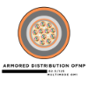 72 Fiber Armored Distribution Tight Buffered Cable - Multimode OM1 - Plenum Rated 