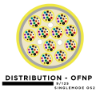 48 Fiber Distribution Tight Buffered Cable - Singlemode OS2 - Plenum Rated 
