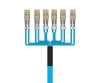 Picture of 12 Fiber Custom Cable Assembly - 50/125µm Multimode OM4 - Distribution Plenum Rated 