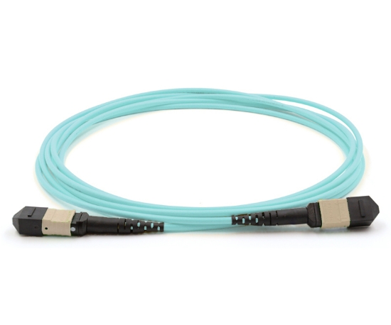 OM4 12 Fiber MPO/UPC Standard Female to Female Custom Cable Assembly