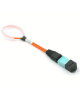 Picture of 24 Fiber MPO/UPC Low Loss Loopback - 62.5/125µm Multimode OM1 - 1-13 Pinout
