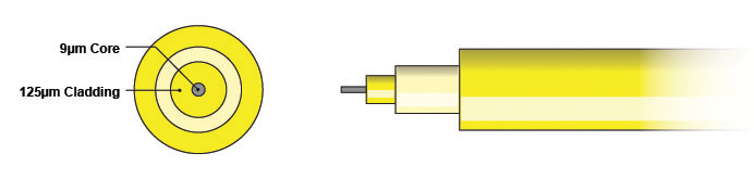 Single mode Diagram